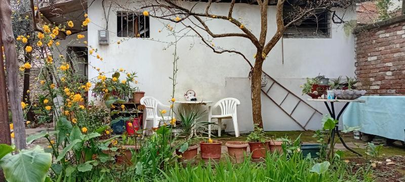 Enki's Garden - image 10