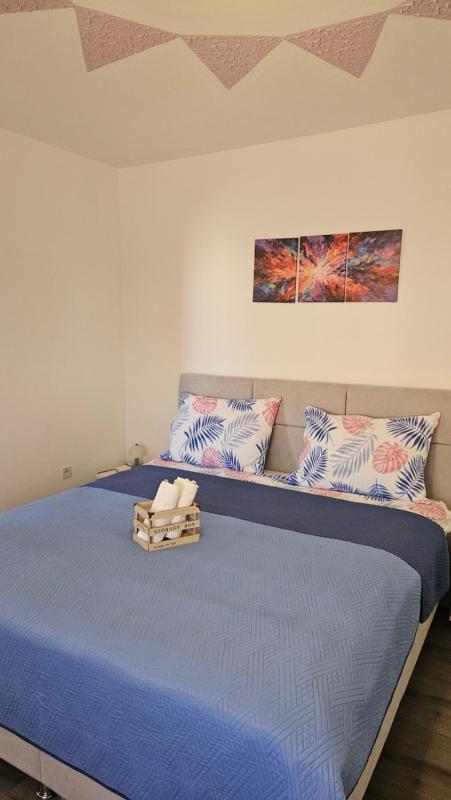 House Nena - image 15