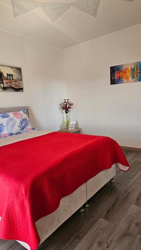 House Nena - image 11