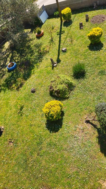 House Nena - image 14