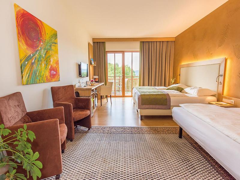 Deluxe Double or Twin Room image 3