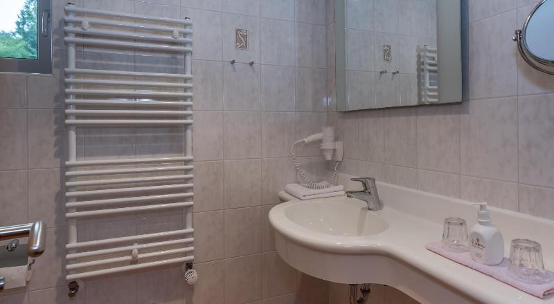 Large Double Room image 3