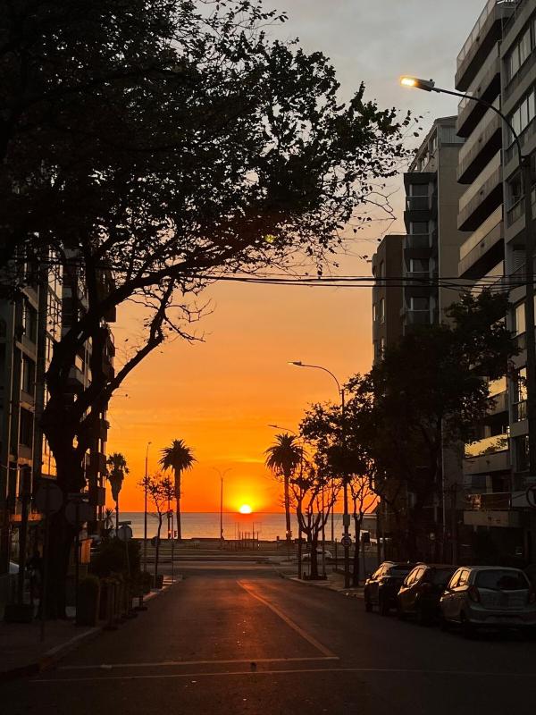 Tu lugar en Punta Carretas a pasos del mar - image 13
