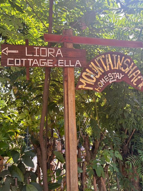 Mountain Shack Homestay - image 2