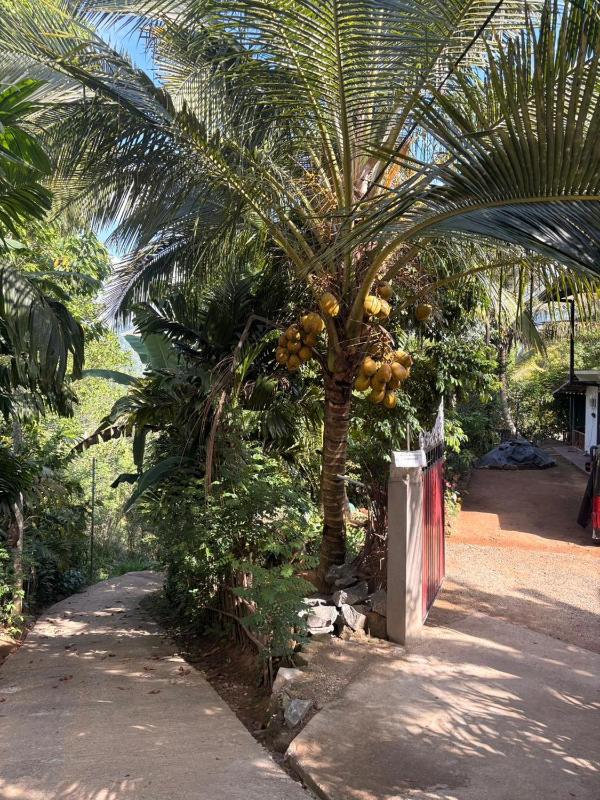 Mountain Shack Homestay - image 15