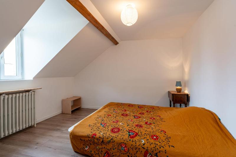 Maison Mancelle - Centre ville- Jardin - image 9
