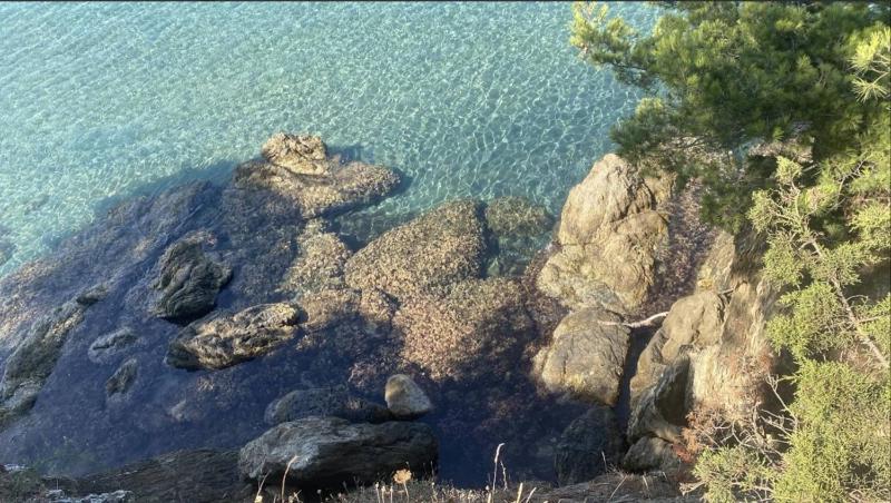 HYE680-A26 HYERES T3 REZ DE JARDIN 4 personnes - image 7