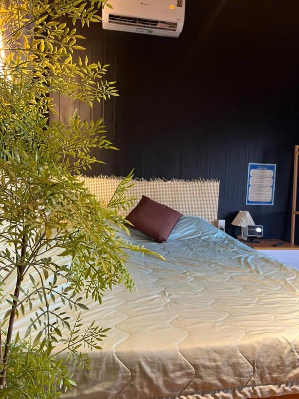 Cần Thơ homestay gia đình - image 17