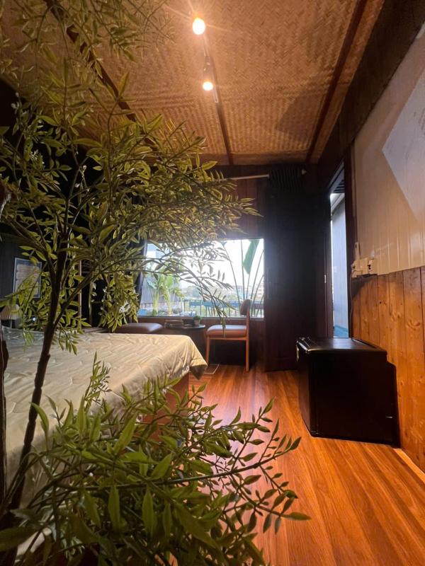 Cần Thơ homestay gia đình - image 3