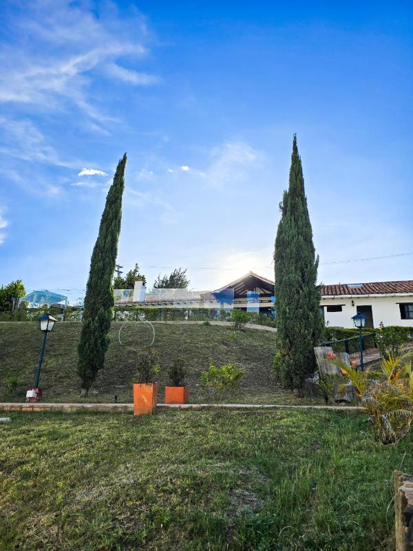 Hotel Montelux - image 47