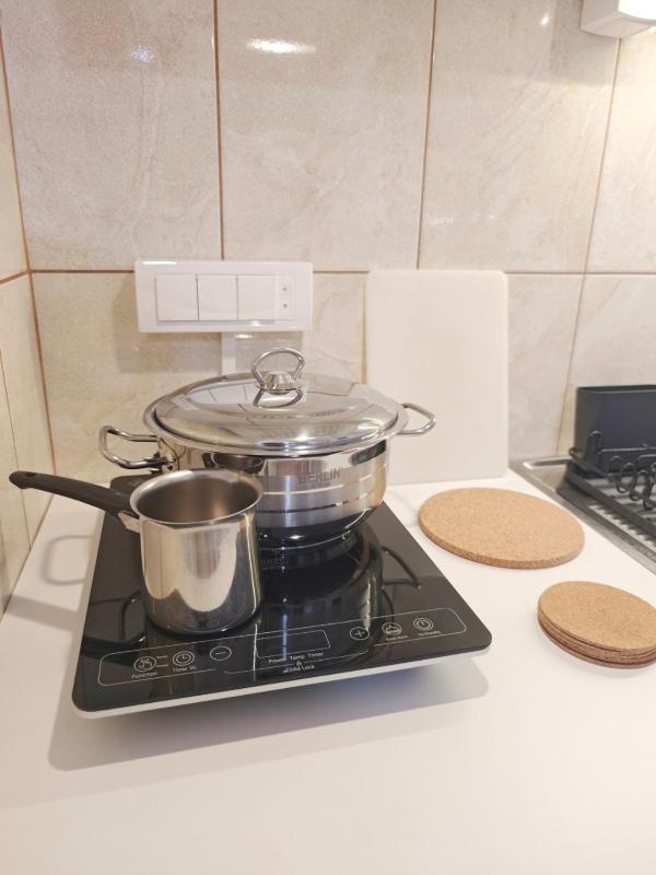 Apartman Čokić 2 Sokobanja - image 6