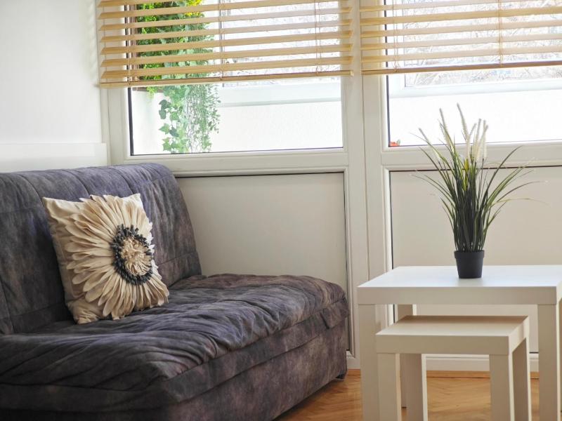 Apartman Čokić 2 Sokobanja - image 8