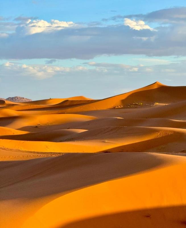 Merzouga preferred Camp - image 10