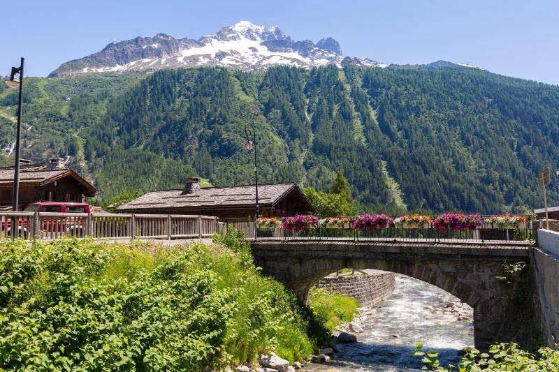 Chalets Bonheur 6BR Sauna Sleeps 10 - Happy Rentals - image 35