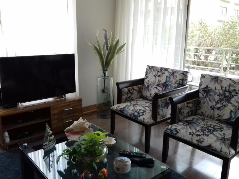 Departamento 2 Norte - image 9