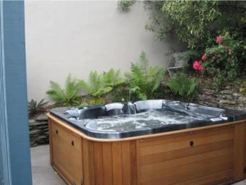 Historic Stonehouse Mini walk to town with shared spa - image 7