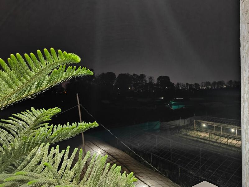 Dixon Homestay - image 9