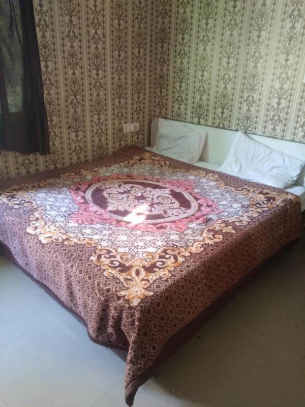 Hotel Shiva palace near railway station and bus stand - image 6