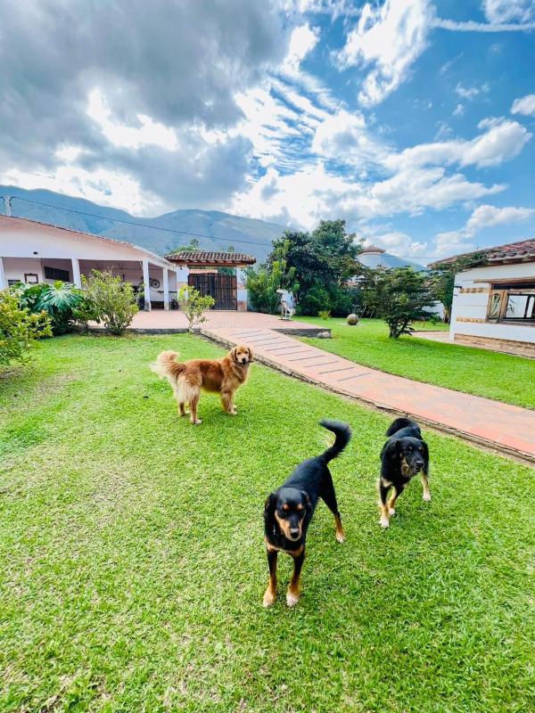 Hacienda Campestre Oasis de la Villa - image 22