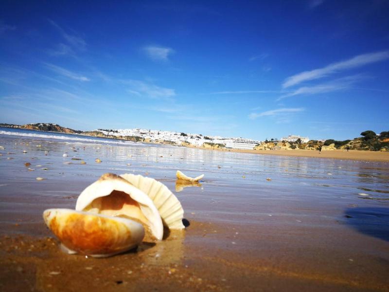 GO4Portugal - Magna - Sea view apartment Airco balcony & pool - image 2