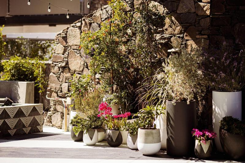 V Capri Palm Springs a Dolce by Wyndham - image 41
