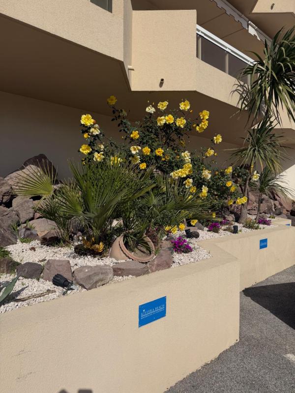 Riviera Beach Hotel - image 44