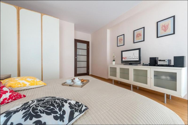 One-Bedroom Apartment image 2
