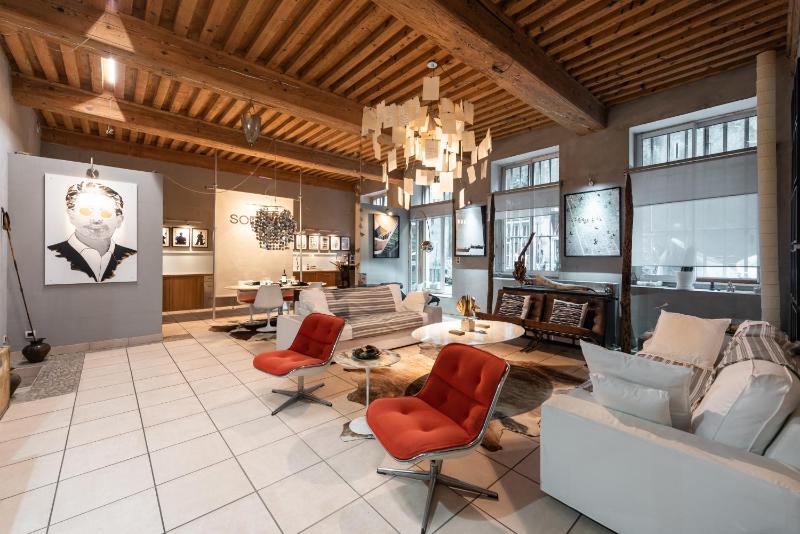 Art et Soie - Appt d'exception avec terrasse - Croix Rousse - image 3