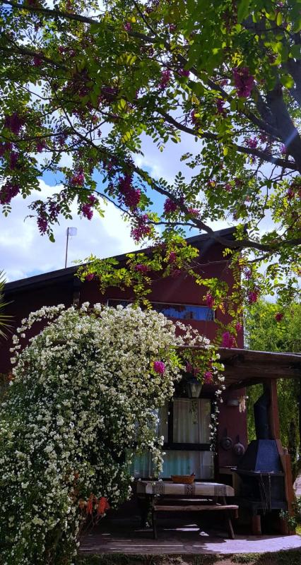 LAS GARDENIAS Cabañas - image 15