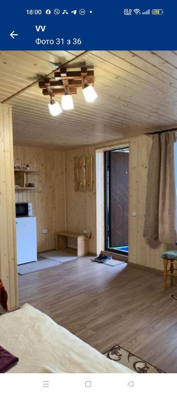 ViV - image 16