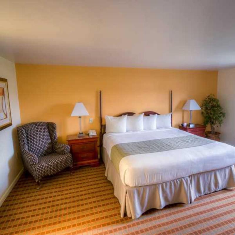Executive King Room image 2