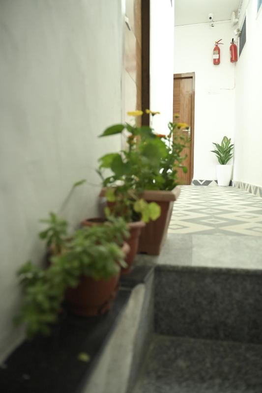 New Tourist Homestay - image 7