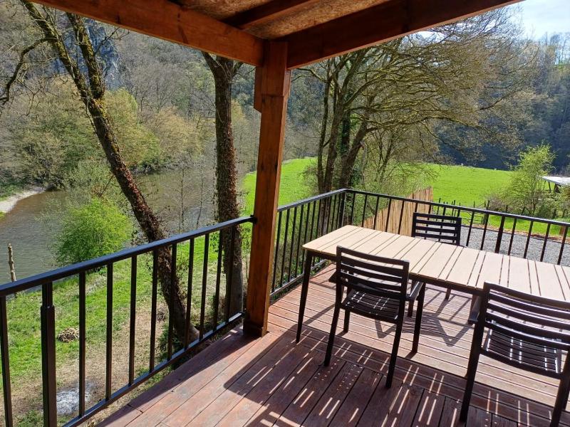 Vue sur Ourthe - image 11
