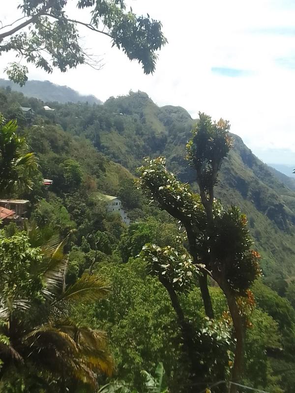 Sadew Home Stay - image 38