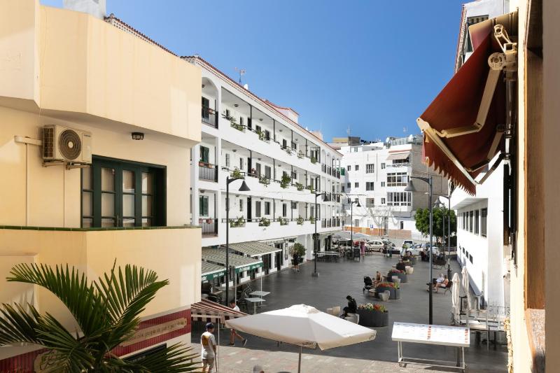 Paloma - image 12