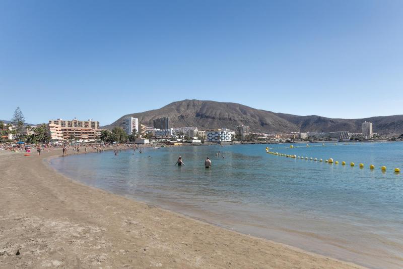 Paloma - image 11