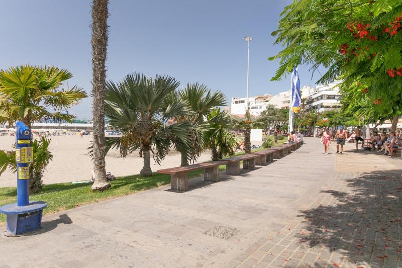 Paloma - image 19