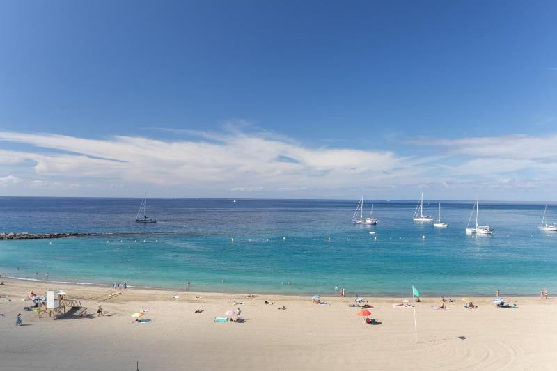 Paloma - image 23
