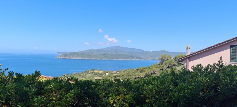 La Perla del Golfo - image 3