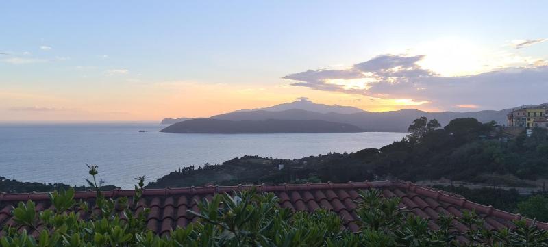 La Perla del Golfo - image 9