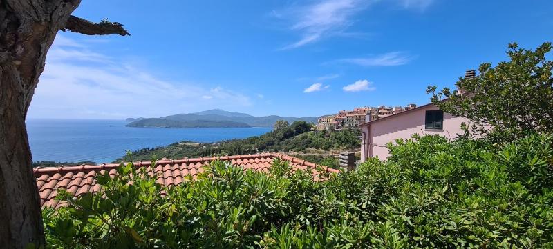 La Perla del Golfo - image 8