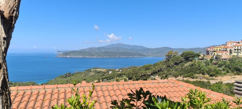 La Perla del Golfo - image 16