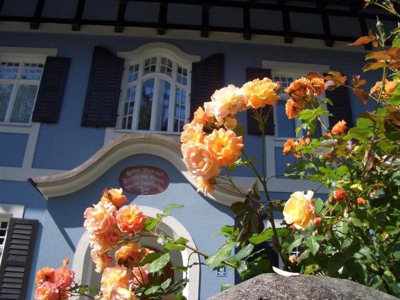 Fewo im Blauen Haus Eg - image 22
