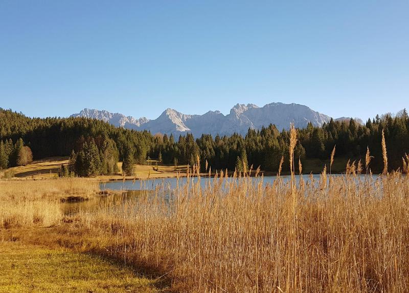 Fewo im Blauen Haus Eg - image 13