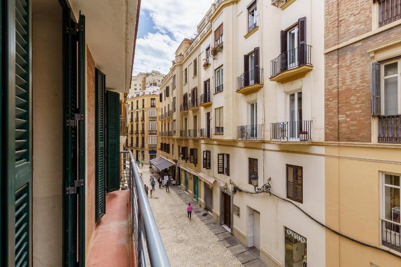 vistas panóramicas Calle Larios - image 4