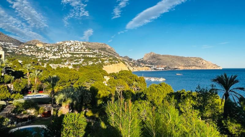 Gadea Vistas - image 23