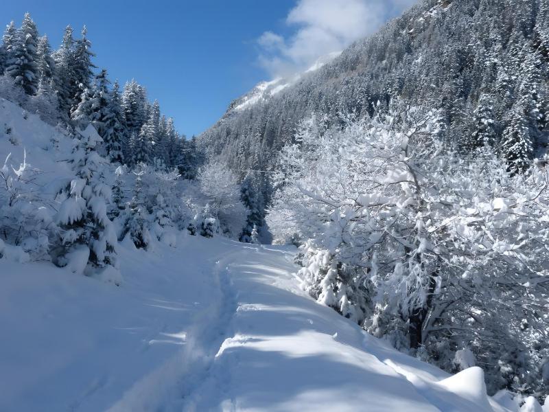 Chalet Refuge Loup Blanc Valfréjus - image 34