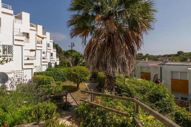 Brava Beach - image 14