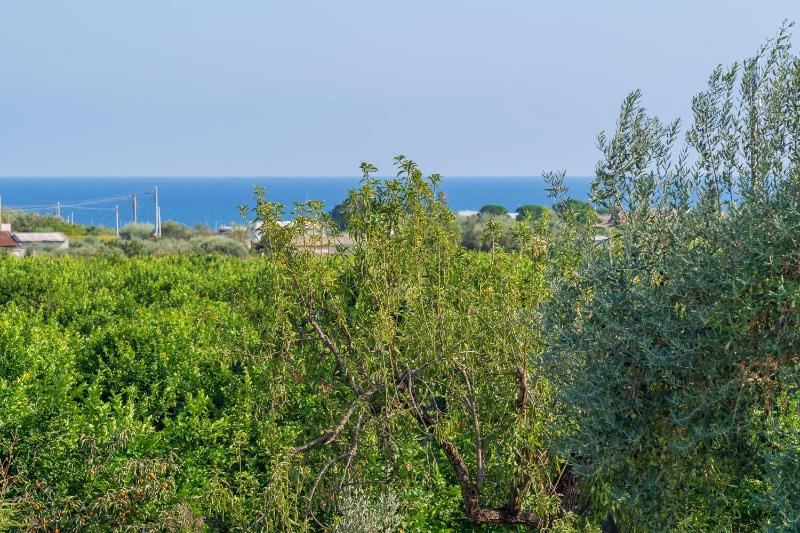 Cascina di Barone - Vista mare - image 16