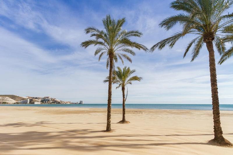Palmera Beach House - image 13
